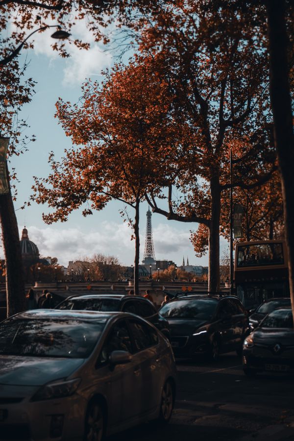 Eiffel Tower in Paris